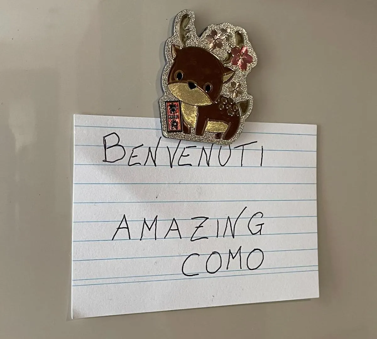Amazing Como Apartamento